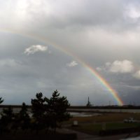 雨が降ると運が良ければ「虹」に出会えるかも