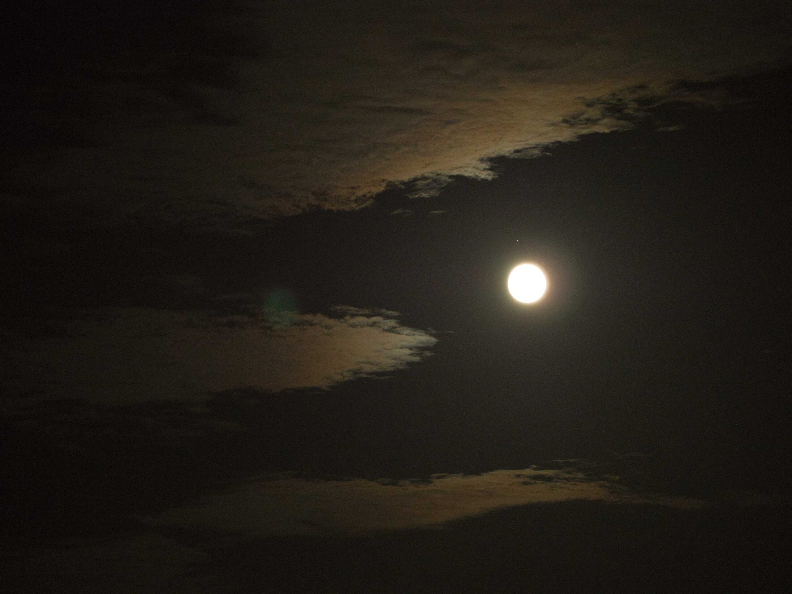 今夜は中秋の名月