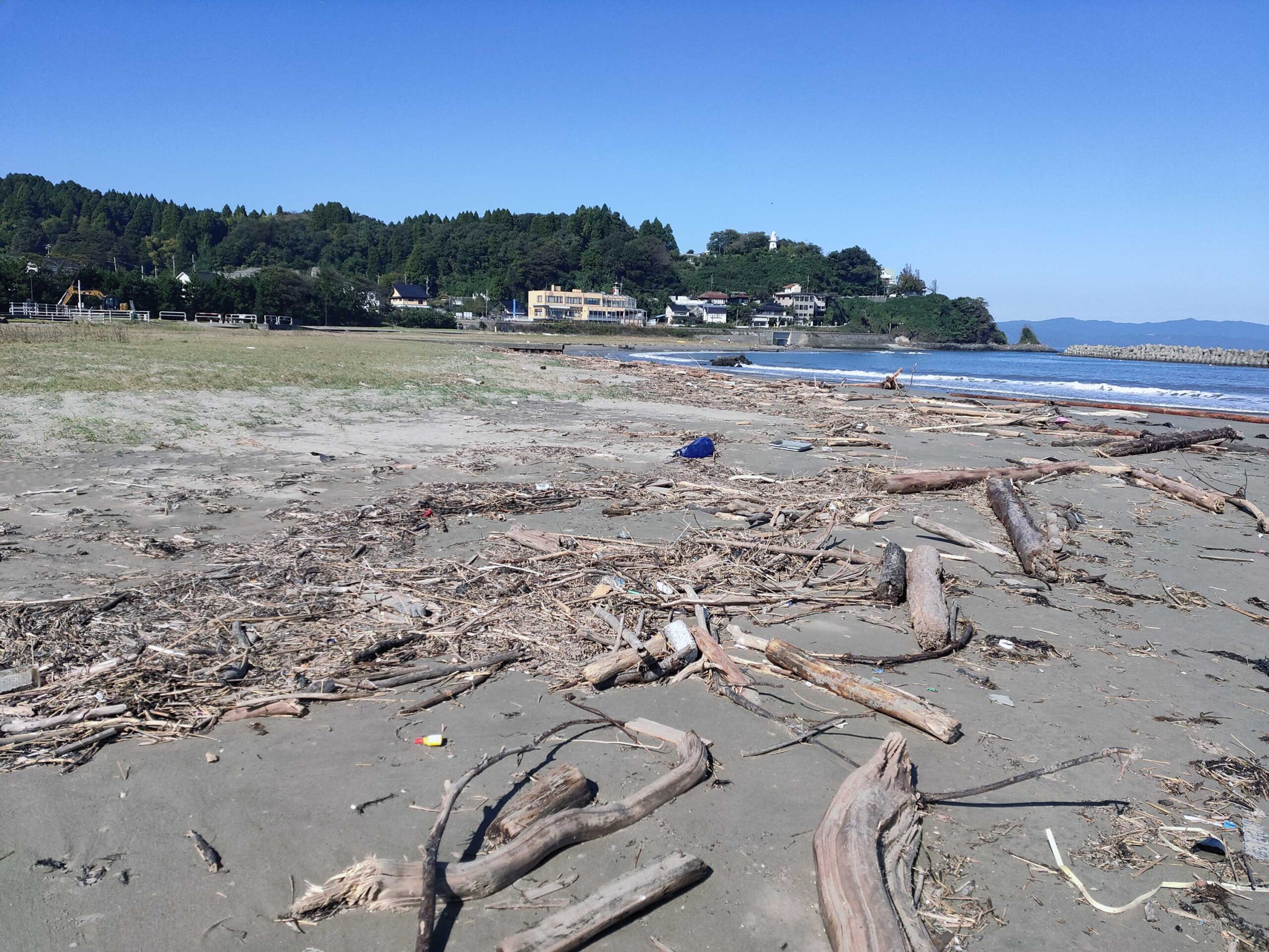 嵐の後の伏木国分海岸は「流木」だらけ