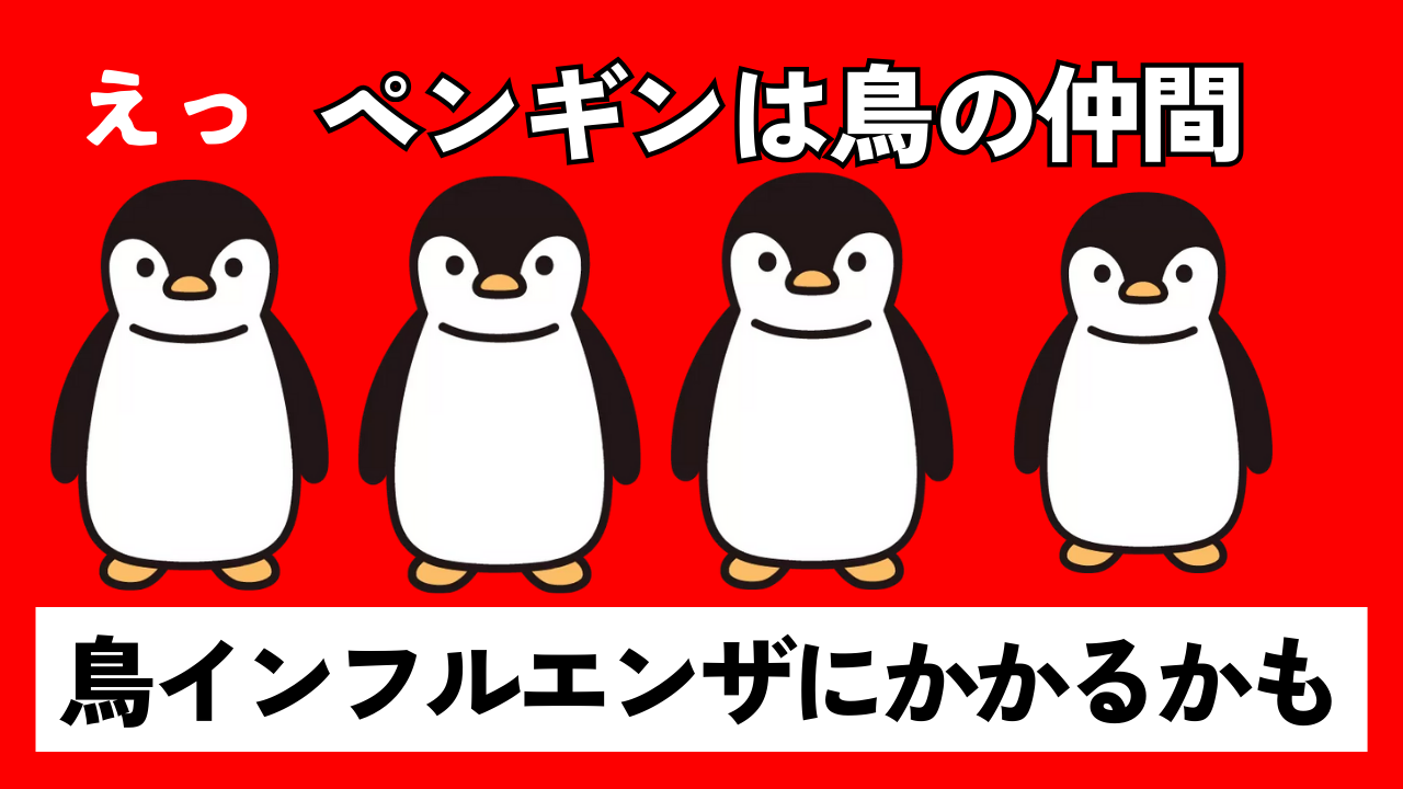 ペンギンは、鳥の仲間なので「鳥インフルエンザ」にかかるそうだ。