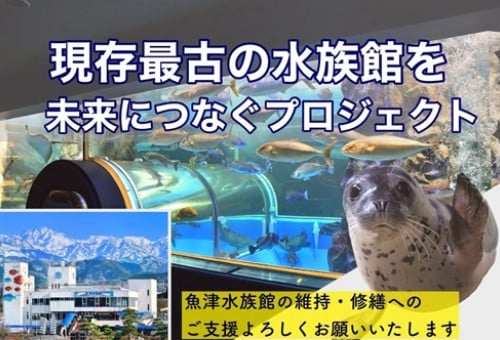 魚津水族館では、維持・修繕費をクラウドファンディングで募集中