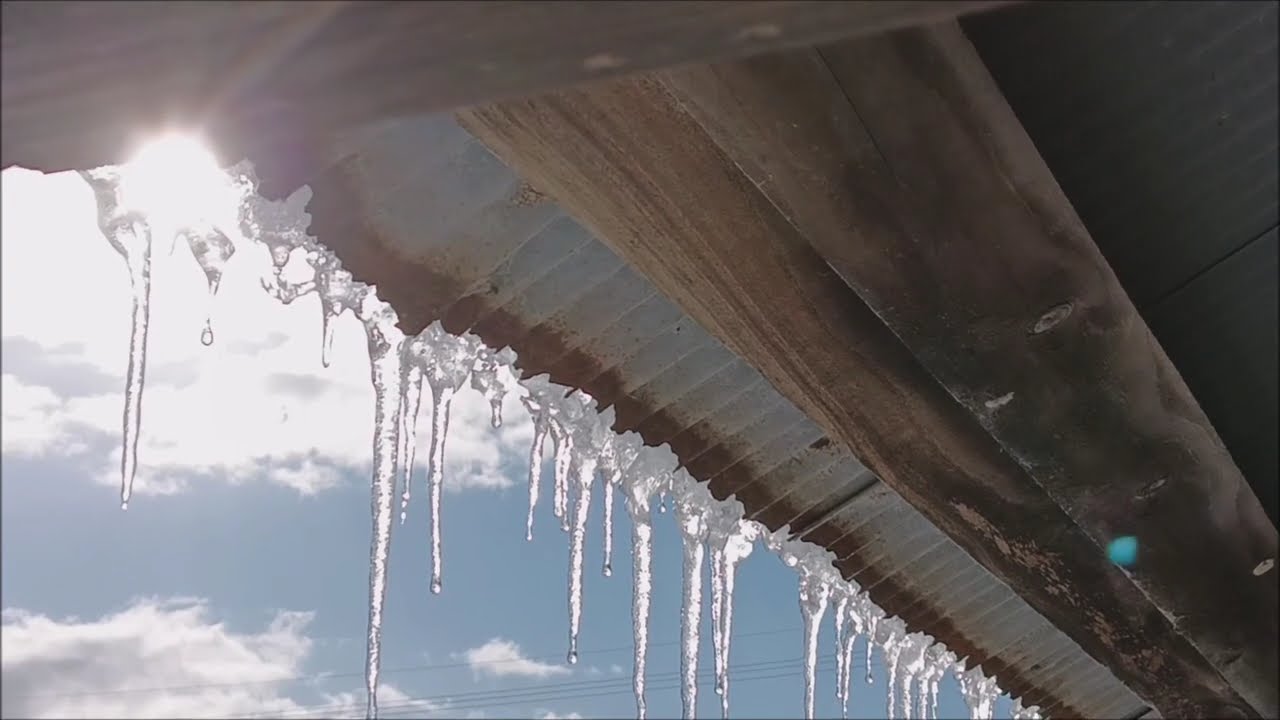 降った雪を溶かしてくれる「太陽」ありがとう。