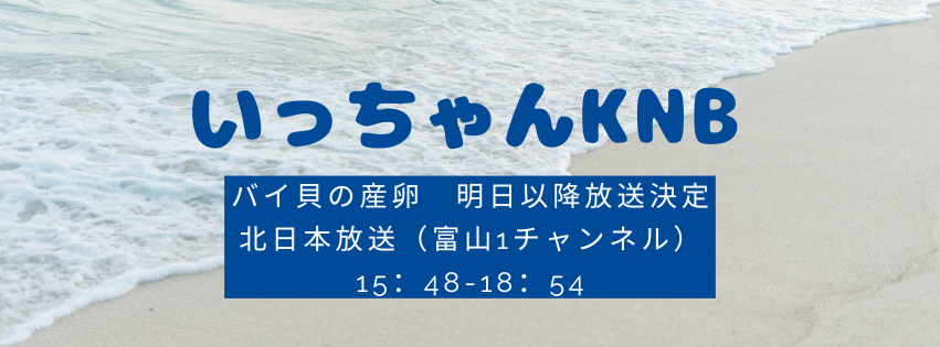 明日以降「バイ貝の産卵」の動画　北日本放送に流れる予定