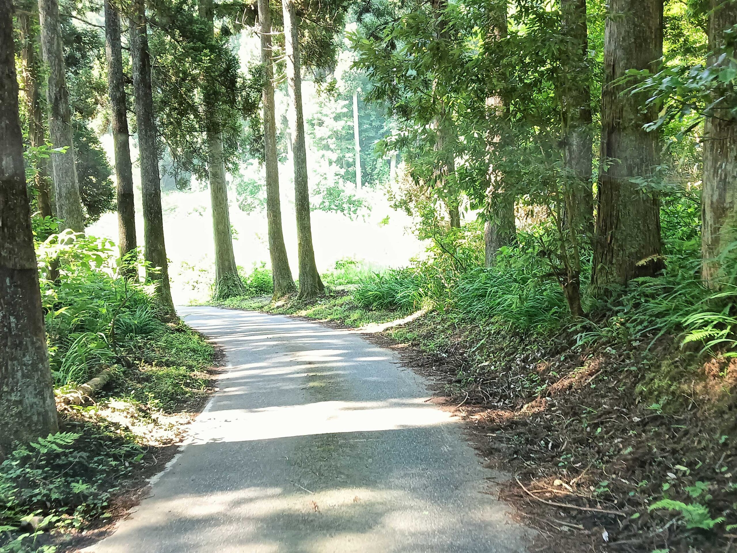 Google Mapに騙された経験多いんじゃない？