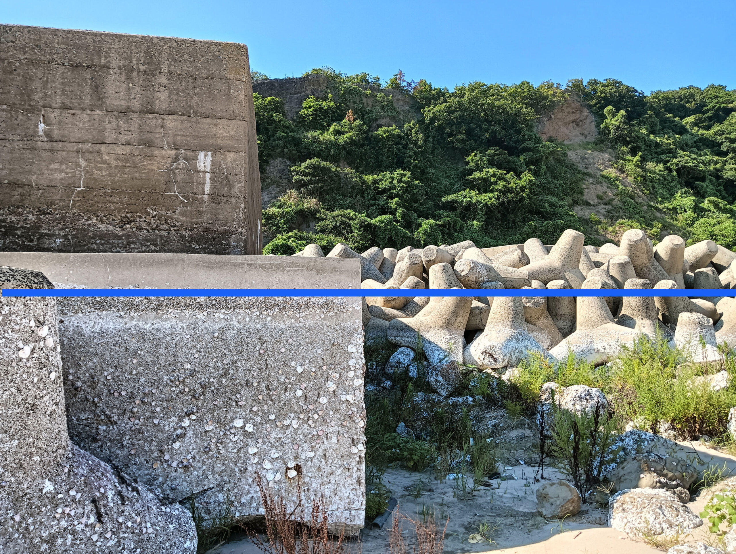 能登半島地震で最大5.5ｍ隆起した「輪島市門前町」に行って驚いた