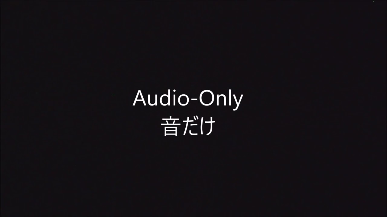 音だけの動画　店の中で虫の音がする