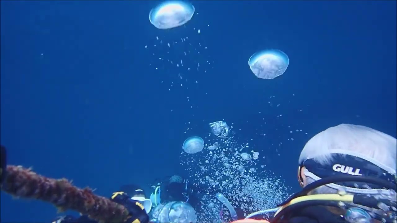 私たちが呼吸で排気した空気はきれいな景色を造る。