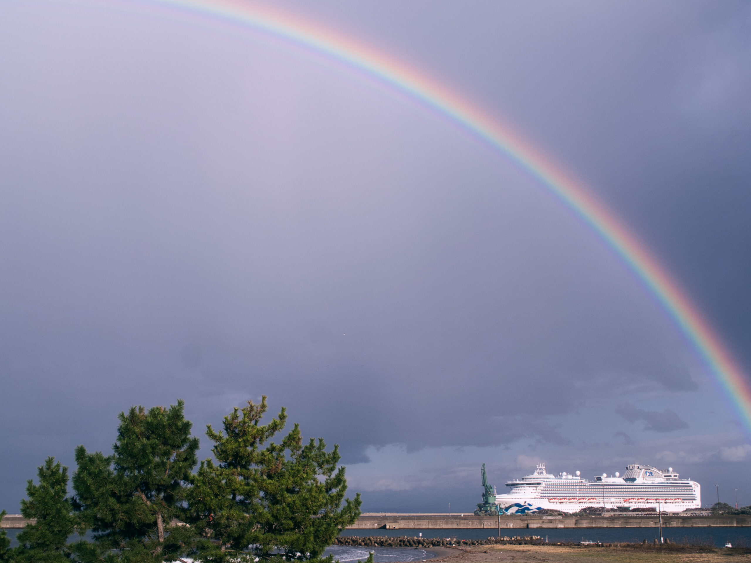 ダイヤモンドプリンセスねた第2弾