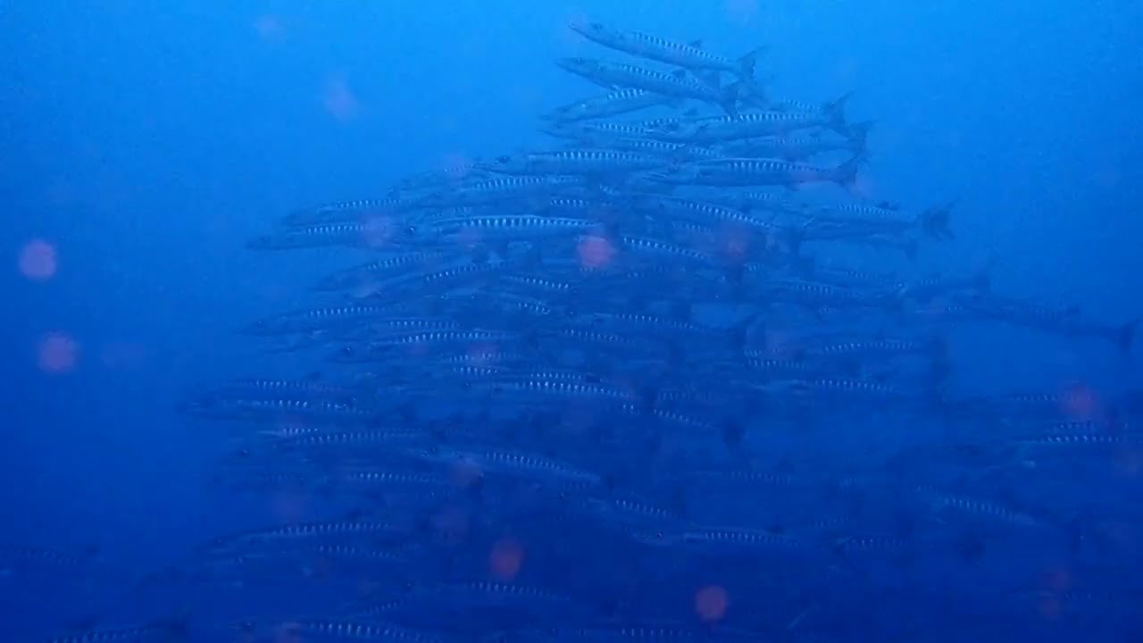 フィリピンツアー　速報その１