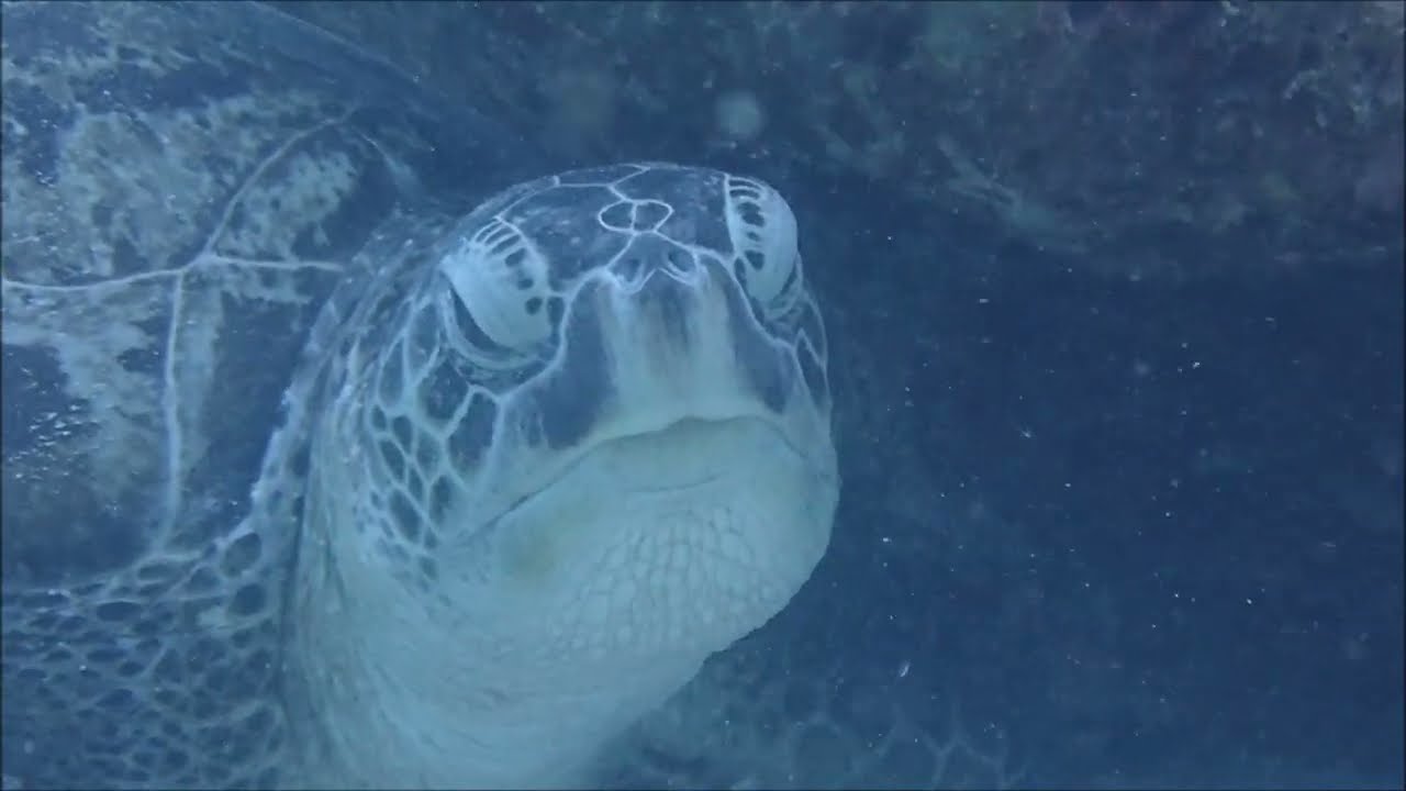 フィリピンボホールツアーの思い出