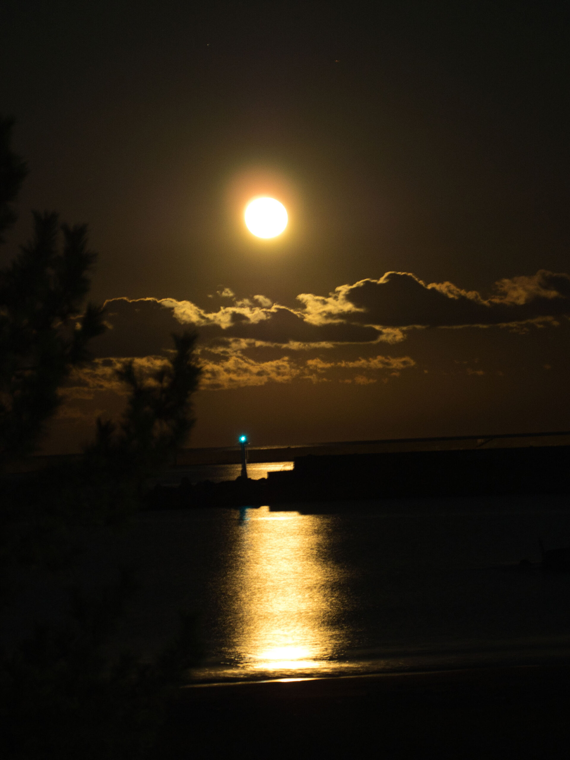 昨日は今年最後の満月　曇りで写真断念　本日は今年最後の満月+1