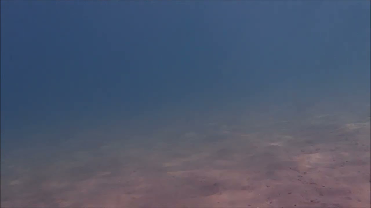 水温11度　水が透き通っている伏木国分海岸