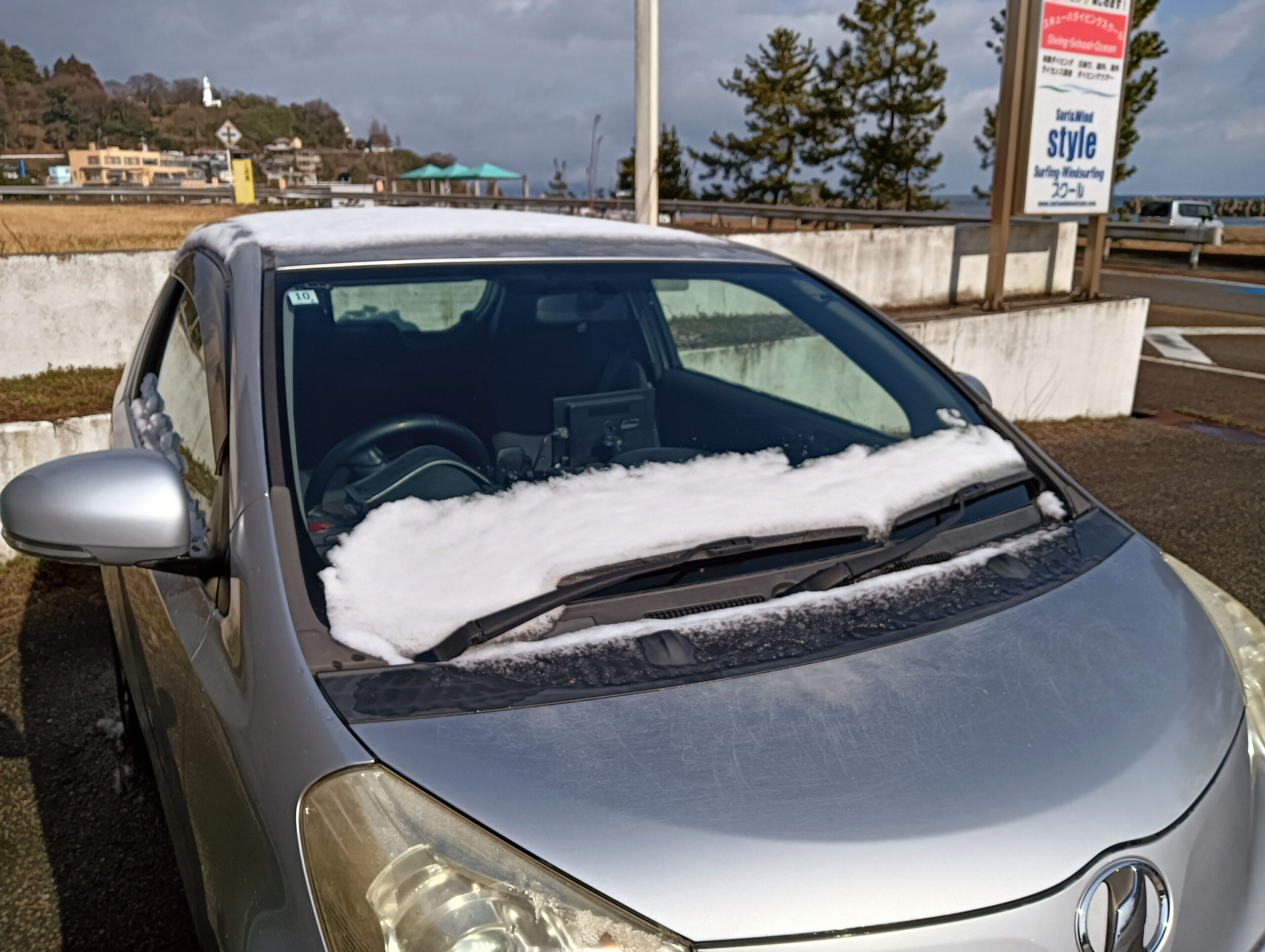 今年最後の雪であってほしい。